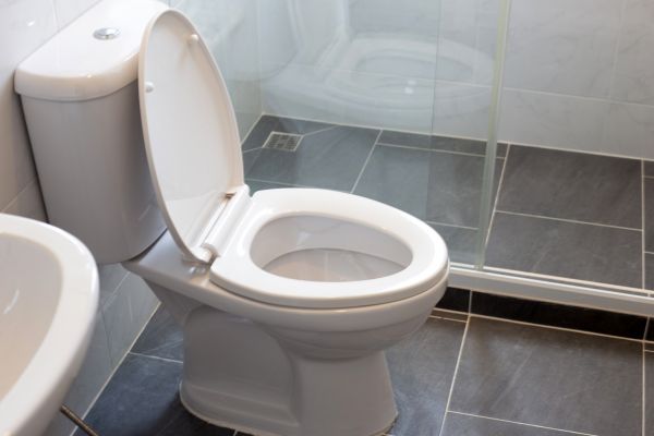 Toilet Replacement in Chico