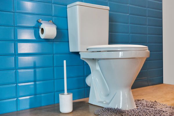 Cost of Toilet Tank Repair in Chico