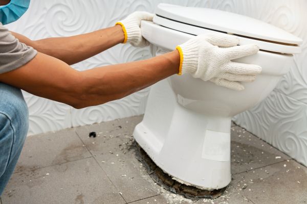 Cost of Toilet Removal in Chico